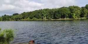 Beitragsbild des Blogbeitrags Camping du Lac de Savenay, Nantes, Frankreich 