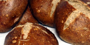 Beitragsbild des Blogbeitrags Hanfbuns