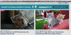 Beitragsbild des Blogbeitrags Der Katzen-Filter funktioniert! (mehr oder weniger)