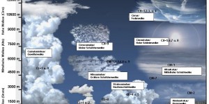 Beitragsbild des Blogbeitrags Woche #1106