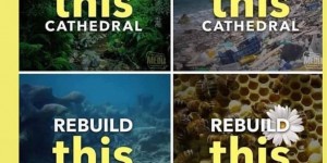 Beitragsbild des Blogbeitrags Notre Dame, das Internet, und alles andere