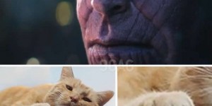 Beitragsbild des Blogbeitrags „Captain Marvel“