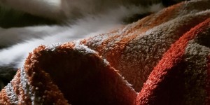 Beitragsbild des Blogbeitrags Happy Towel Day!