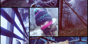 Beitragsbild des Blogbeitrags Winter is coming!