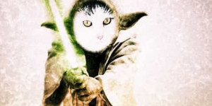 Beitragsbild des Blogbeitrags May the 4th be with you!