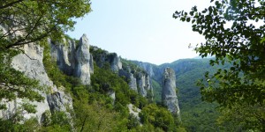 Beitragsbild des Blogbeitrags Vela Draga – der Wilde Westen in Istrien 