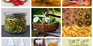 Beitragsbild des Blogbeitrags Ernte konservieren und haltbar machen - Beitragsreihe