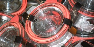 Beitragsbild des Blogbeitrags Sicher Einkochen: tödliche Lebensmittelvergiftung vermeiden!