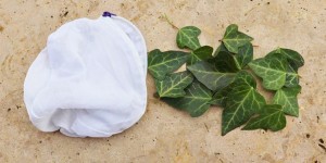 Beitragsbild des Blogbeitrags Biologisches Waschmittel: Efeu 