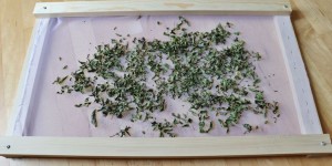 Beitragsbild des Blogbeitrags DIY Trockendarre / Trockenhorde selber bauen