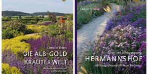 Beitragsbild des Blogbeitrags Gartenreisen 