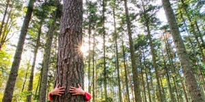 Beitragsbild des Blogbeitrags Fenstertausch ist Klimaschutz