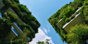 Beitragsbild des Blogbeitrags Ökologisches sanieren – 11 Tipps wie Sie klimafreundlich sanieren