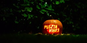 Beitragsbild des Blogbeitrags Pusztavibes DIY Special: Wir schnitzen einen Kürbis!
