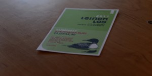 Beitragsbild des Blogbeitrags Leinen los!