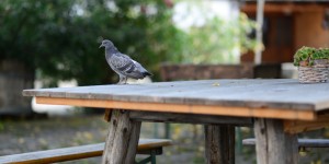 Beitragsbild des Blogbeitrags First Steps in der Cselley-Mühle