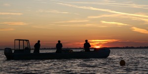 Beitragsbild des Blogbeitrags Helmut Schwarz fühlt sich am Neusiedlersee wie ein Fisch im Wasser