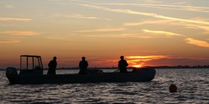 Beitragsbild des Blogbeitrags Helmut Schwarz fühlt sich am Neusiedlersee wie ein Fisch im Wasser 