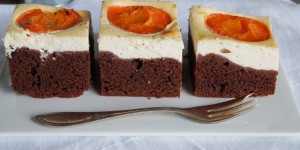 Beitragsbild des Blogbeitrags Schokoblechkuchen mit Marillen und Topfen