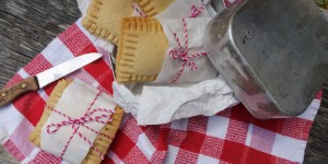Beitragsbild des Blogbeitrags Der perfekte Wandersnack: Schoko-Keks Riegel