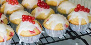 Beitragsbild des Blogbeitrags Ribisel-Muffins / Johannisbeer-Muffins