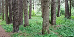 Beitragsbild des Blogbeitrags Kurzurlaub in Längenfeld im Ötztal – Heimaturlaub