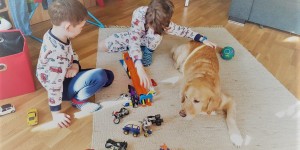 Beitragsbild des Blogbeitrags Speiberte Kinder, Lob der Herde.
