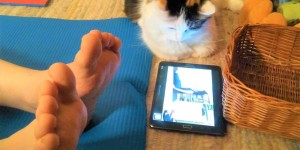 Beitragsbild des Blogbeitrags Jetzt doch: Om, Oida-ONLINE-Yoga