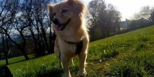 Beitragsbild des Blogbeitrags Update!