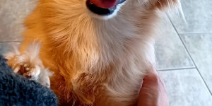 Beitragsbild des Blogbeitrags 8-wöchige Yogakurse ab 10. Jänner!