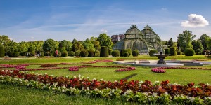 Beitragsbild des Blogbeitrags Bécs már a világ legzöldebb városa címet is elnyerte 