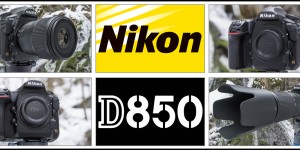 Beitragsbild des Blogbeitrags Wildlife Fotografie mit der Nikon D850 