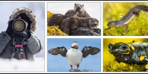 Beitragsbild des Blogbeitrags Fotoworkshops 2019: Alle Termine sind online