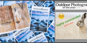 Beitragsbild des Blogbeitrags Veröffentlichung und Erfolg beim OPOTY 2018