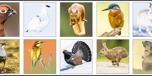 Beitragsbild des Blogbeitrags Das war mein Fotojahr 2019