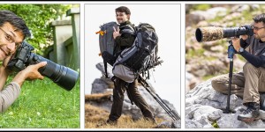 Beitragsbild des Blogbeitrags Achtung: Wildlife Fotograf voraus