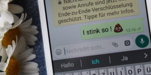 Beitragsbild des Blogbeitrags Hormonstau mit Autokorrektur 