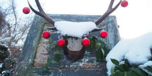Beitragsbild des Blogbeitrags Weihnachten
