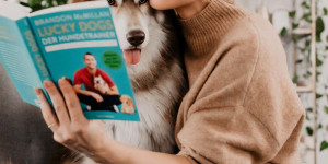 Beitragsbild des Blogbeitrags Rezension zu Brandon McMillans Buch: der 7-Tage-Trainingsplan für jeden Hund
