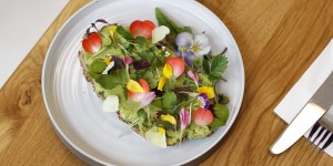 Beitragsbild des Blogbeitrags essen in wien: bits and bites 