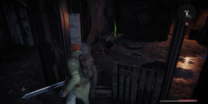 Beitragsbild des Blogbeitrags Remnant: From the Ashes – DLC Subject 2923 erscheint im August