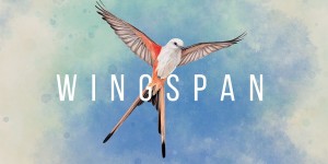 Beitragsbild des Blogbeitrags Wingspan: Entspannendes strategisches Kartenspiel flattert dem Release Datum entgegen
