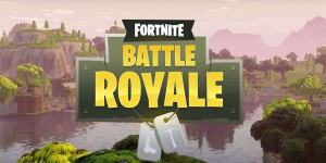 Beitragsbild des Blogbeitrags Fortnite: Details zur Fortnite Champion Series im Jahr 2021