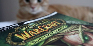 Beitragsbild des Blogbeitrags Game-Romane werden immer beliebter