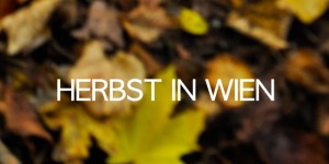 Beitragsbild des Blogbeitrags Herbst in Wien