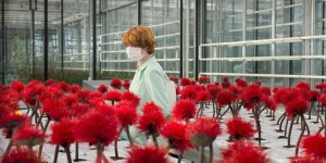 Beitragsbild des Blogbeitrags Jessica Hausner – Little Joe