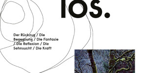 Beitragsbild des Blogbeitrags Zeitlos in Begegnung. Im Wald.