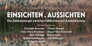 Beitragsbild des Blogbeitrags „Einsichten. Aussichten“ Das Salzkammergut zwischen Faktischem und Anekdotischem.