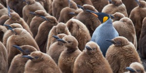 Beitragsbild des Blogbeitrags Masterpage Problem nach dem Editieren der Navigation