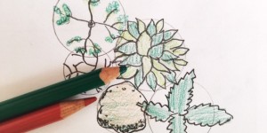 Beitragsbild des Blogbeitrags Garten: von der Idee zum Plan 